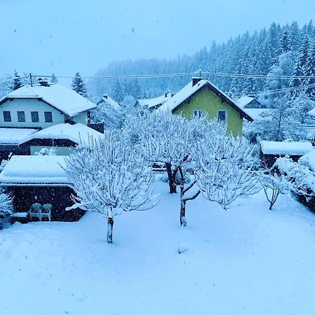 Haus Sonnenstrahl Appartamento