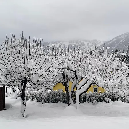 Haus Sonnenstrahl Apartment