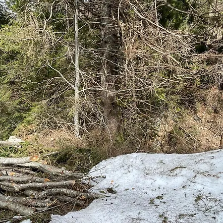 Haus Sonnenstrahl Kotschach-Mauthen
